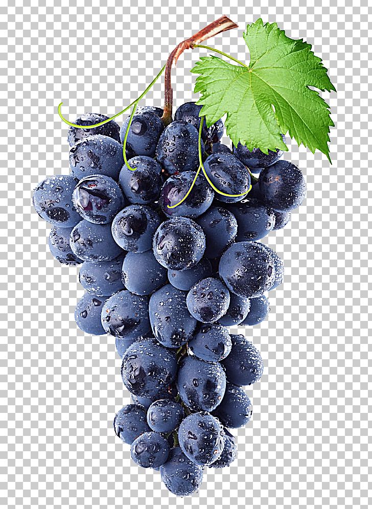 Common vine wine isabella. Blueberries clipart grape