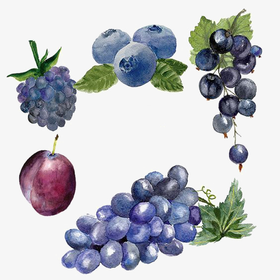Blueberries clipart grape. Ripe grapes creative fruit