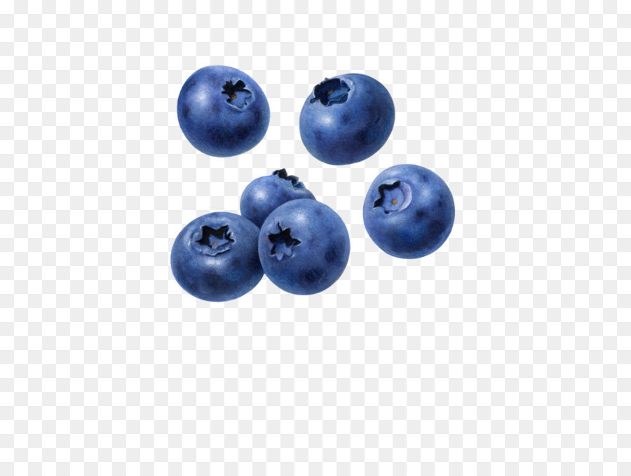 Juice blueberry muffin tart. Blueberries clipart huckleberry