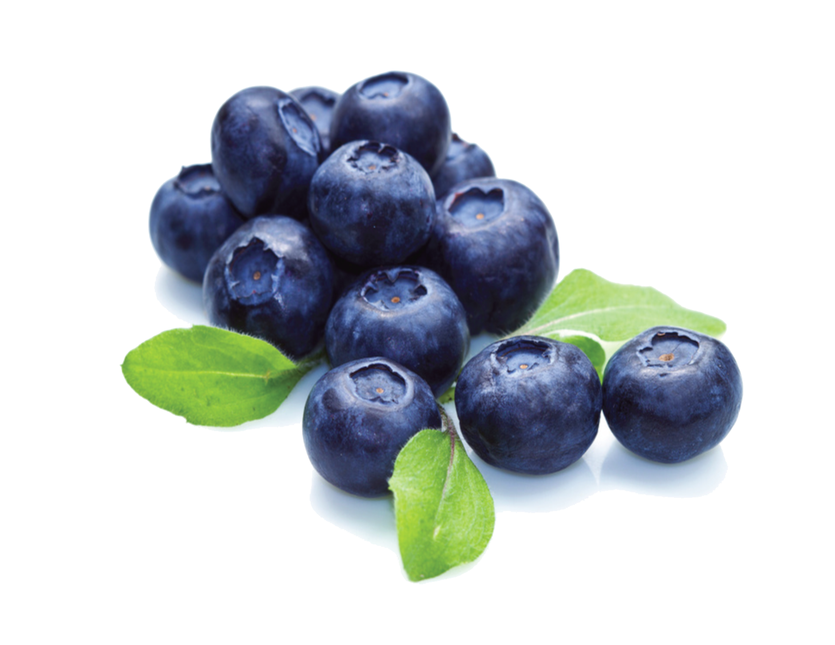Png images transparent free. Blueberry clipart huckleberry