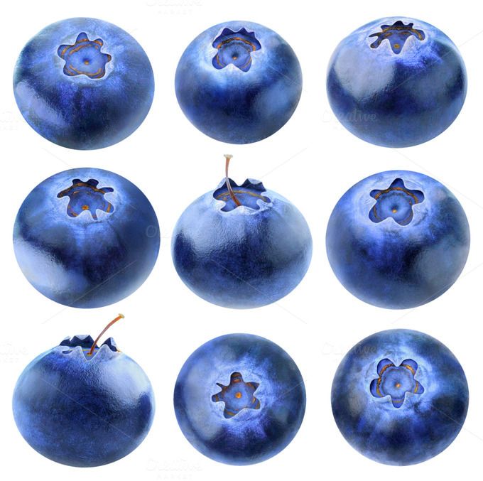blueberries clipart one blueberry