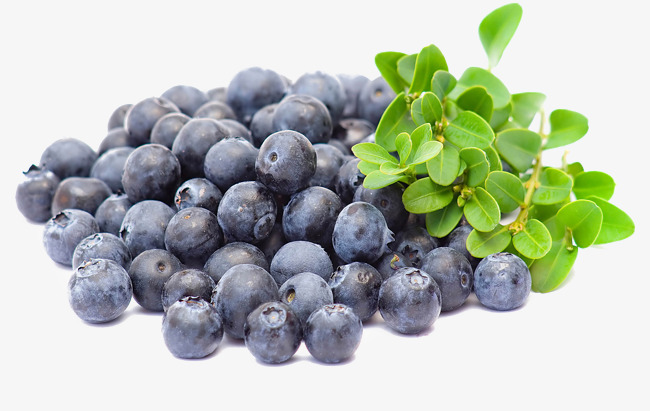 blueberries clipart pile