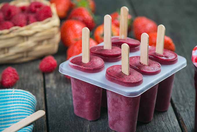 blueberries clipart popsicle