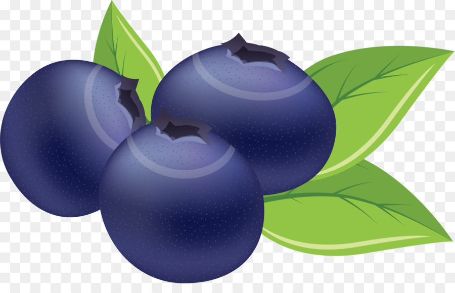 blueberries clipart purple berry