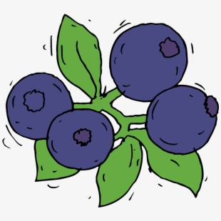 blueberries clipart purple berry