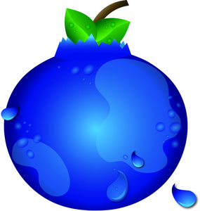 blueberry clipart single