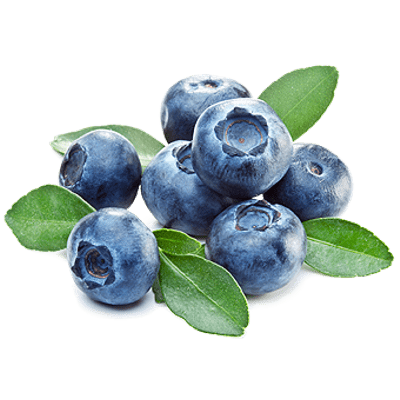 blueberries clipart transparent background