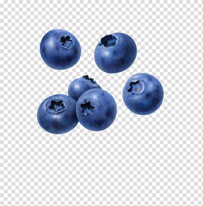 Blueberry clipart blueberry fruit. Blueberries juice muffin tart