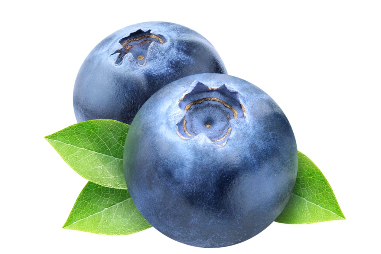 blueberries clipart two