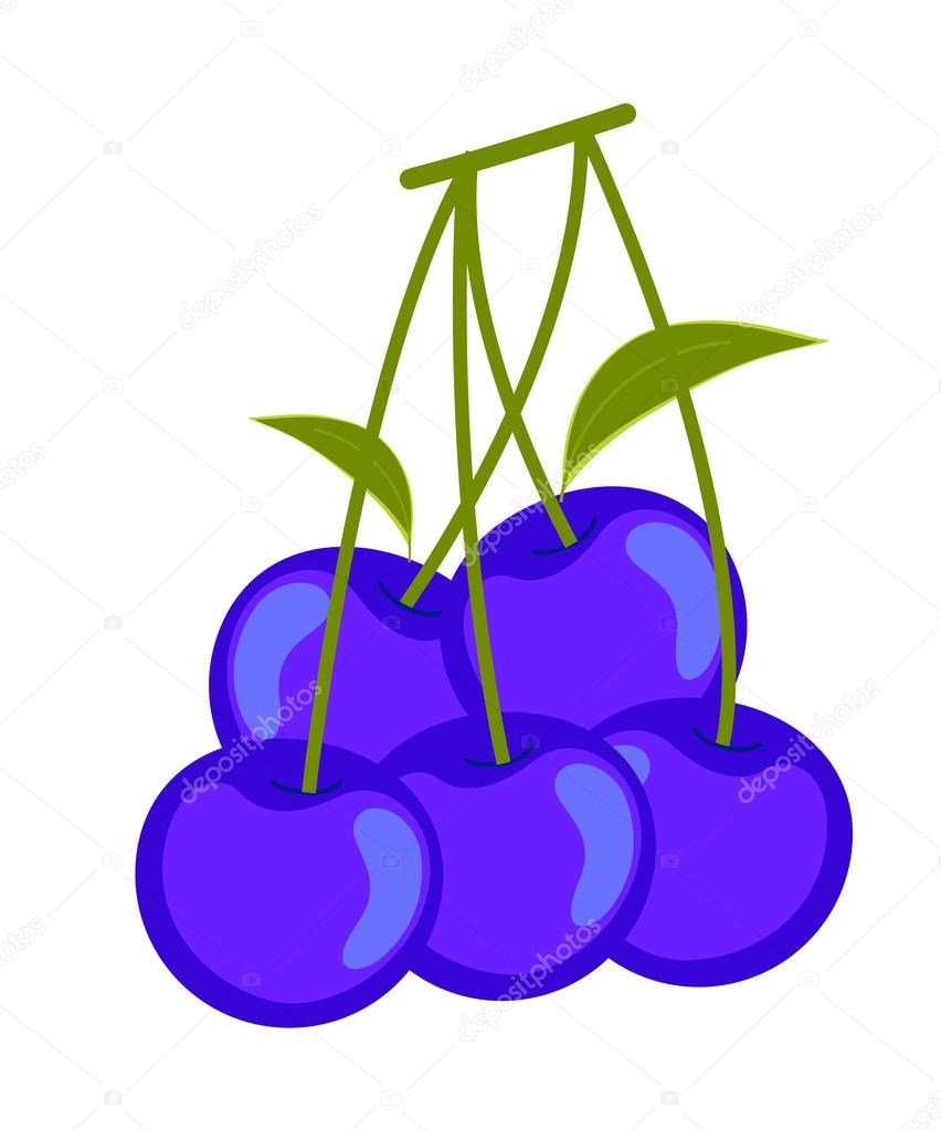 Blueberries clipart vector. Free download best on