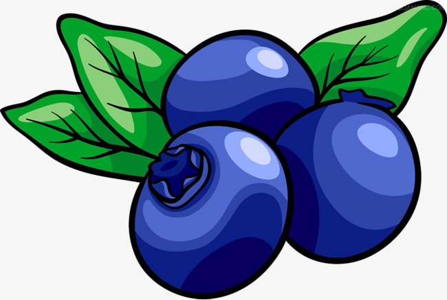 Painted material fruit png. Blueberry clipart