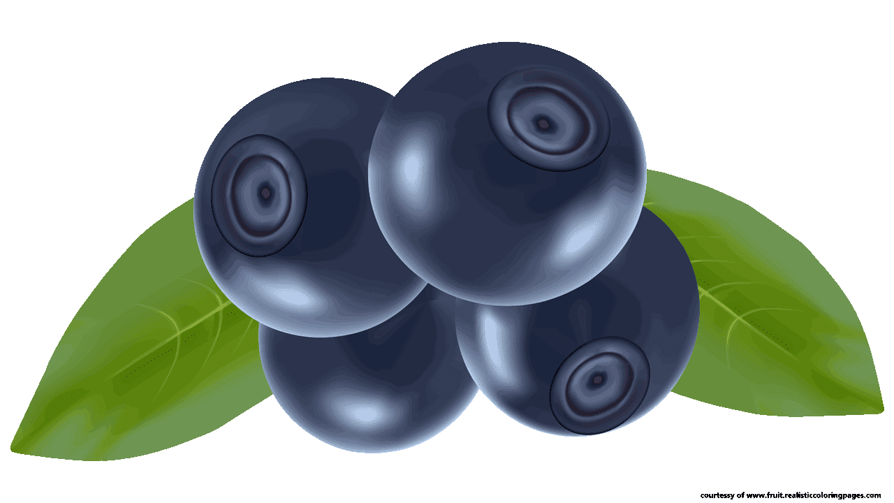  fascinating names a. Blueberry clipart blueberry fruit