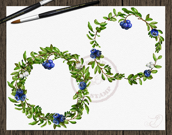 Watercolor blueberries clip art. Blueberry clipart frame