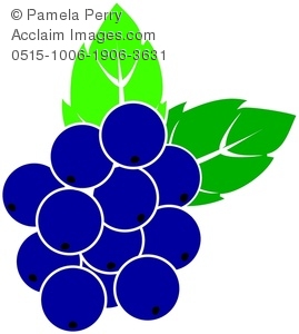 Clip art illustration of. Blueberry clipart grape