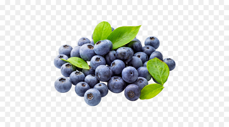 Blueberries clipart blueberry plant. Tea muffin clip art