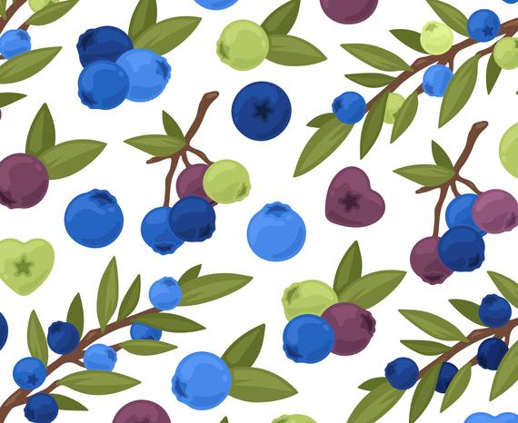 Blueberry clipart huckleberry. Berry branch fruit summer