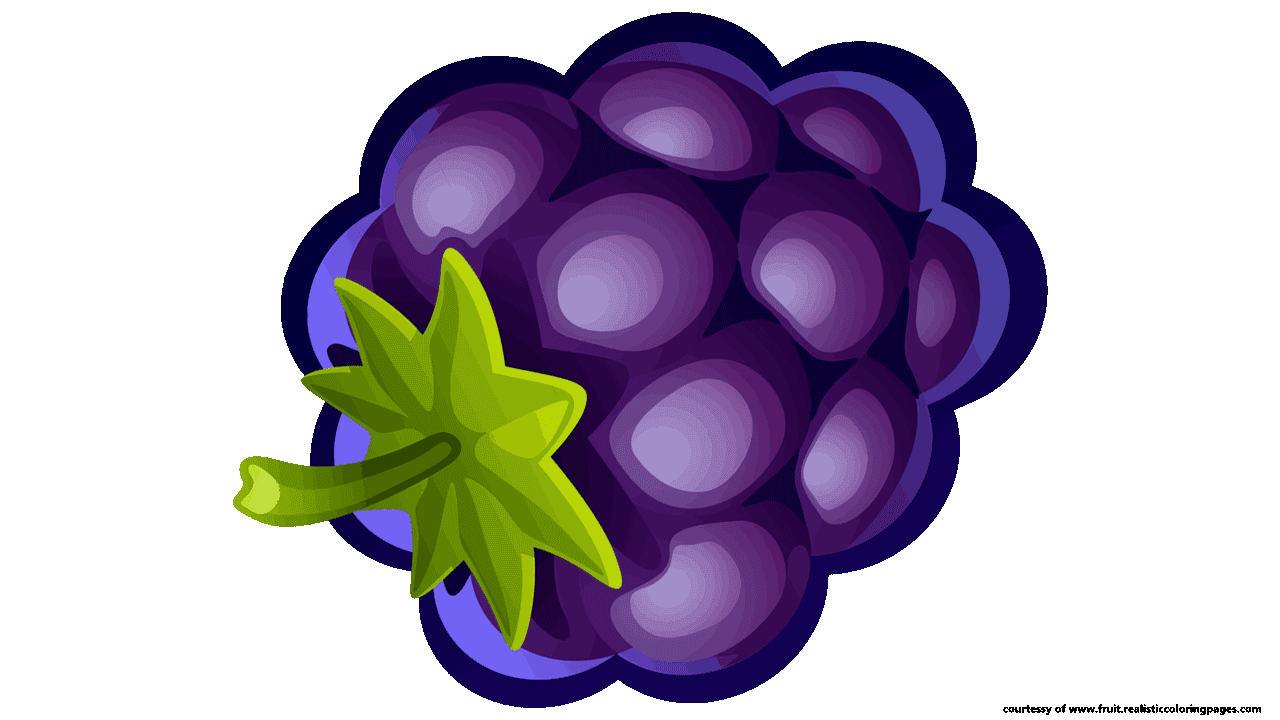  fascinating fruit names. Blueberry clipart single
