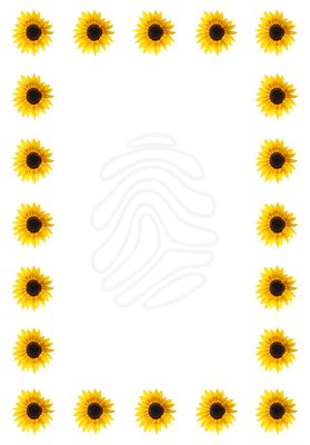 Free page borders for. Boarder clipart sunflower