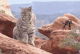 Gif find share on. Bobcat clipart animation