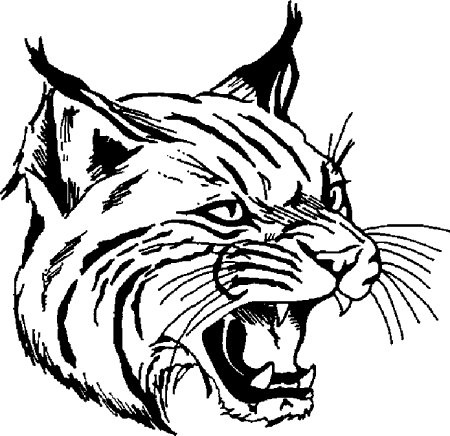 Free black and white. Wildcat clipart bobcat football