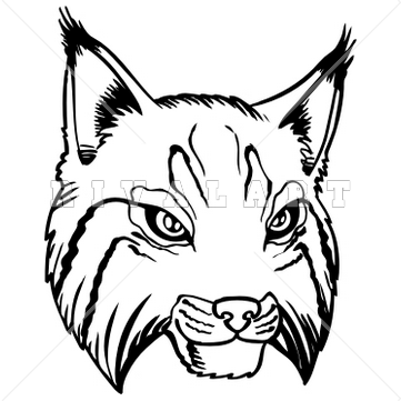 Mascot image of bobcats. Bobcat clipart bobcat head