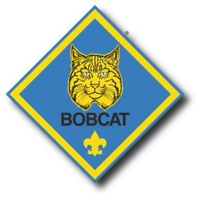 bobcat clipart cub scout