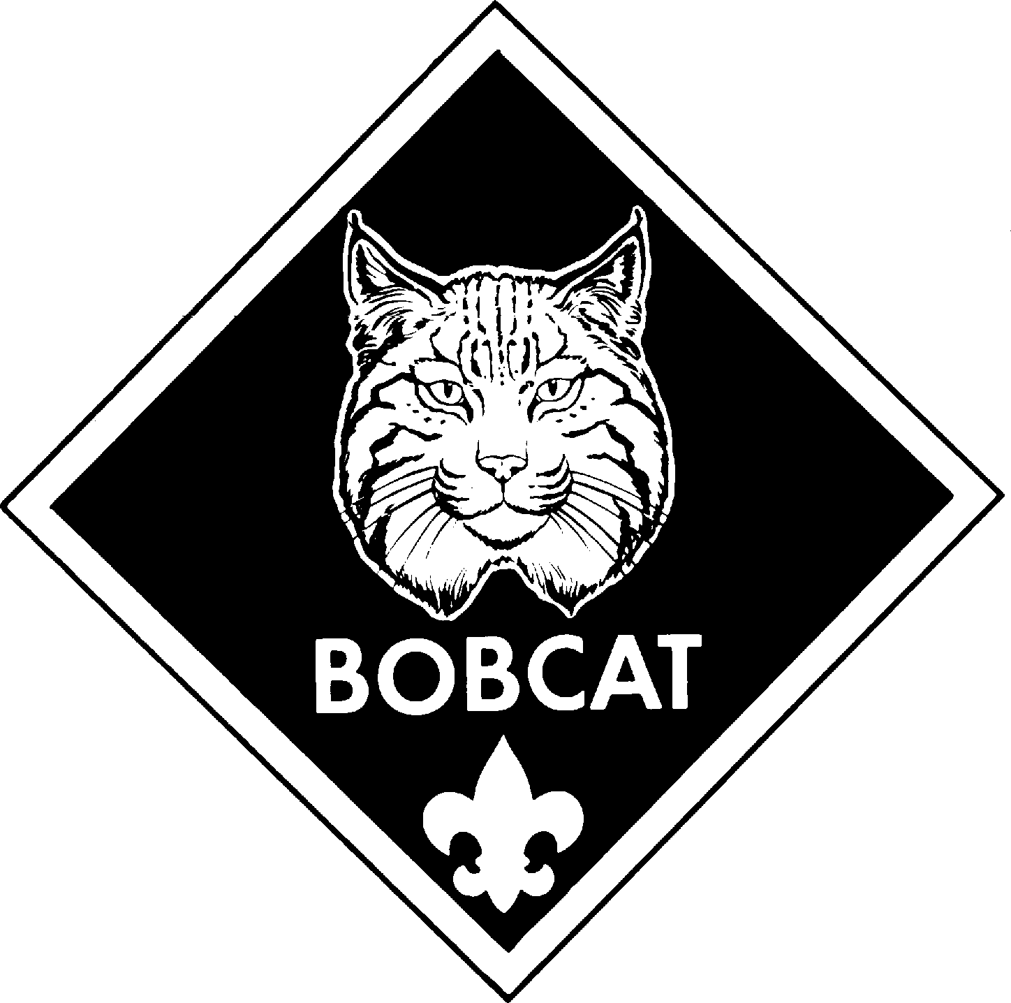 Bobcat clipart cub scout. Usssp library images in