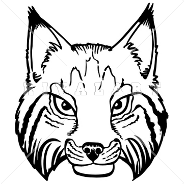 Bobcat clipart face. Mascot image of bobcats