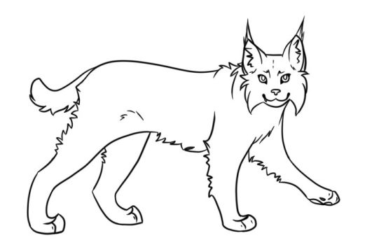 Bobcat clipart lineart. Lineartsforuse favourites by forestwanderers