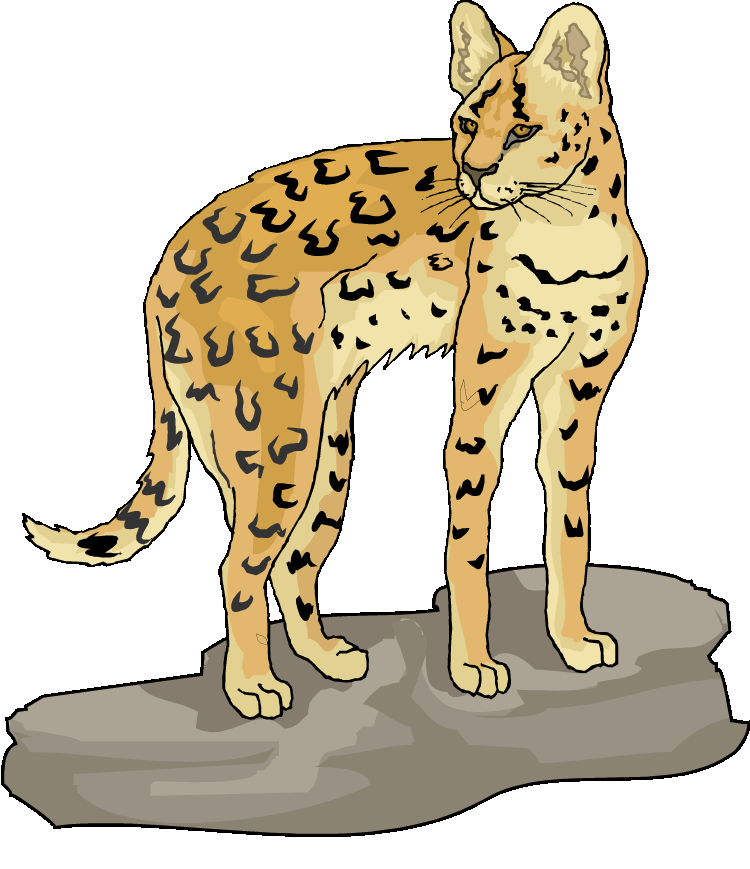 Free lynx cliparts download. Otter clipart prairie dog