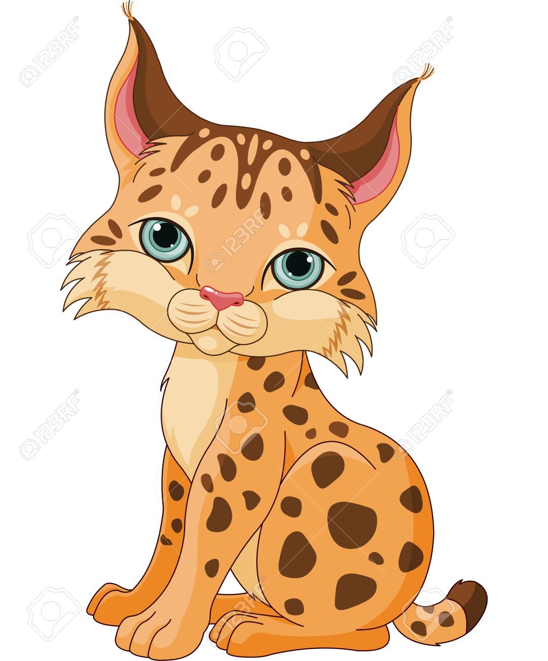 Bobcat clipart lynx.  illustration of cute