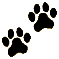 Bobcat clipart paw print. Clip art clipartix