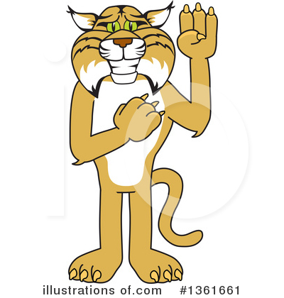 Bobcat clipart school. Mascot illustration by 