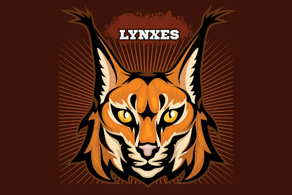 Bobcat clipart template. Lynxes mascot sports team