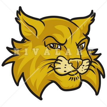 Bobcat clipart wildcat. Mascot image of wildcats