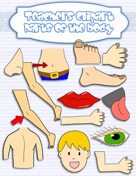 Parts of the science. Body clipart body part