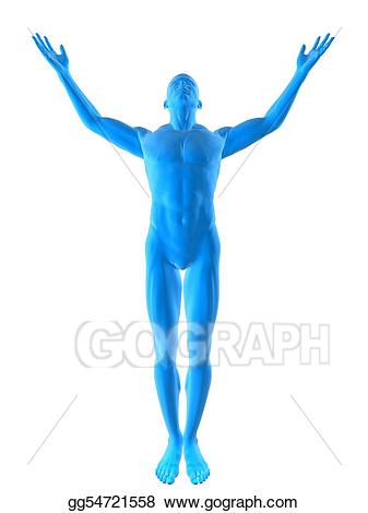Body clipart body shape. Stock illustrations gg gograph