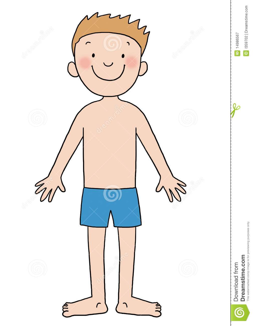 Top clip art free. Body clipart body structure