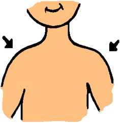 Pecho pinterest bodies shoulders. Body clipart chest