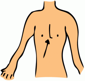  collection of part. Body clipart chest