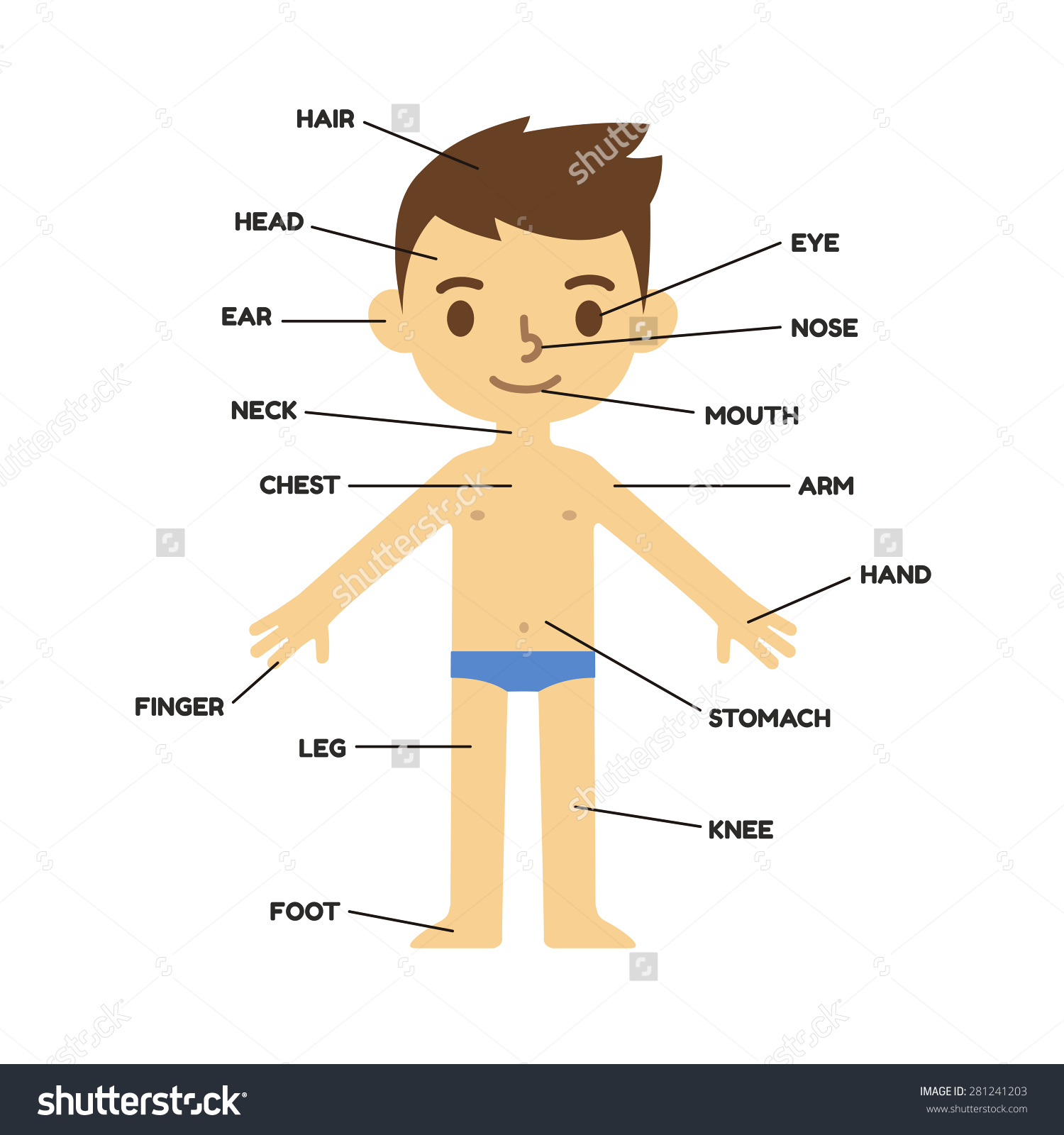  collection of my. Body clipart cute