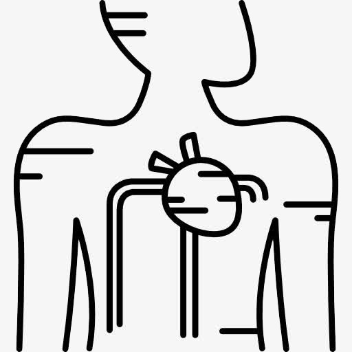 Blood supply human png. Body clipart heart