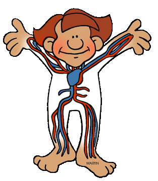 Body clipart human biology. Free clip art by