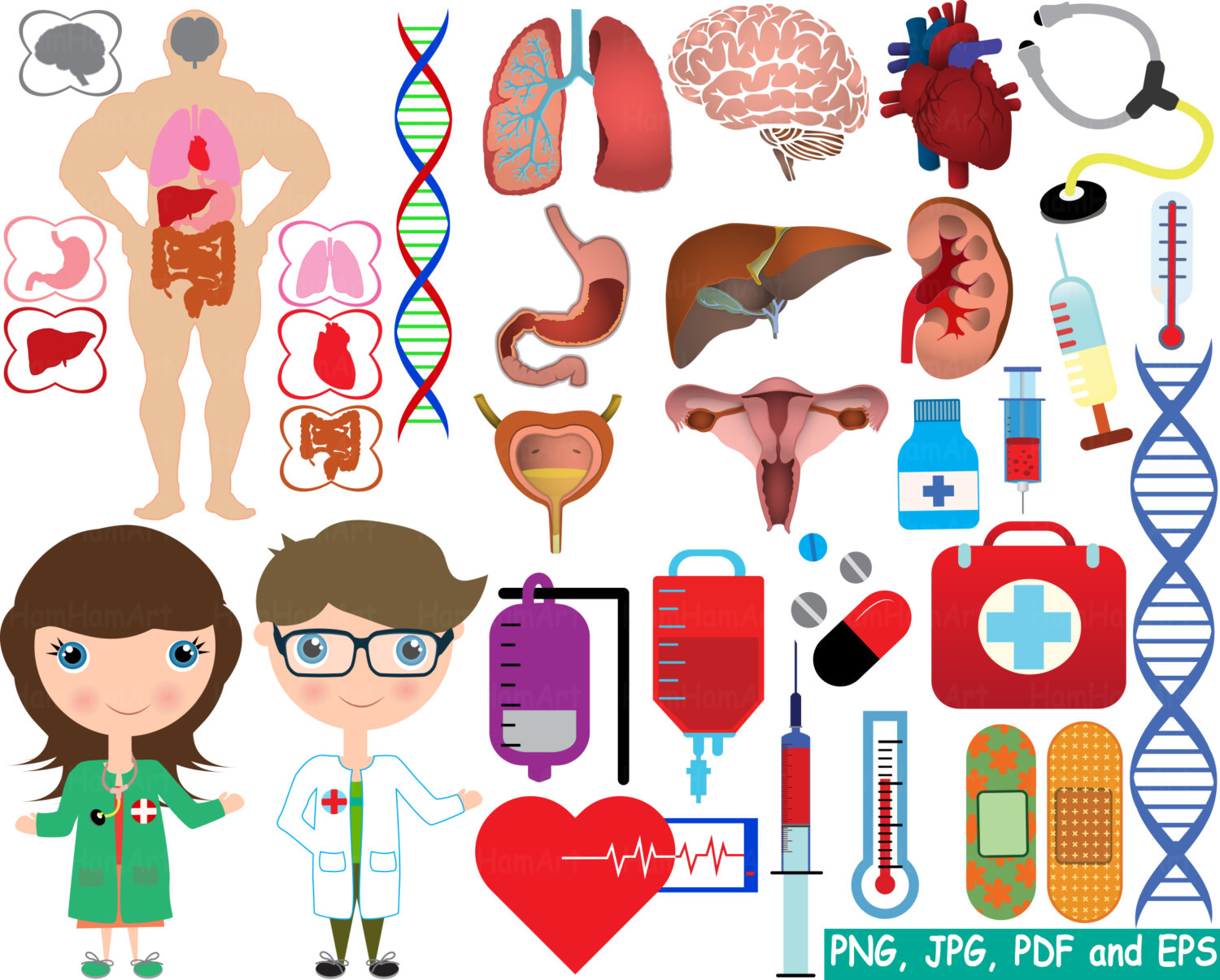 Medic doctor nurse stickers. Body clipart human biology