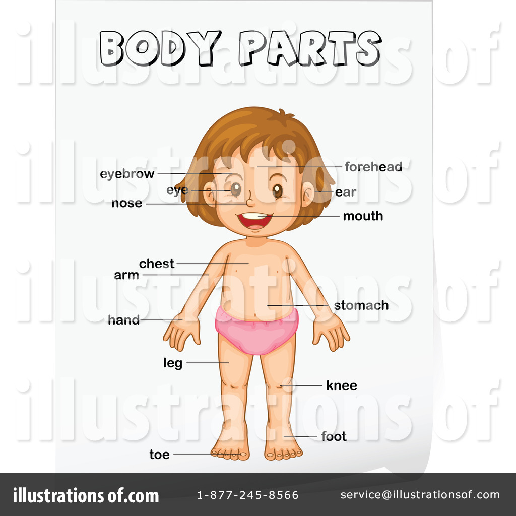 Body clipart illustration. Parts by graphics rf