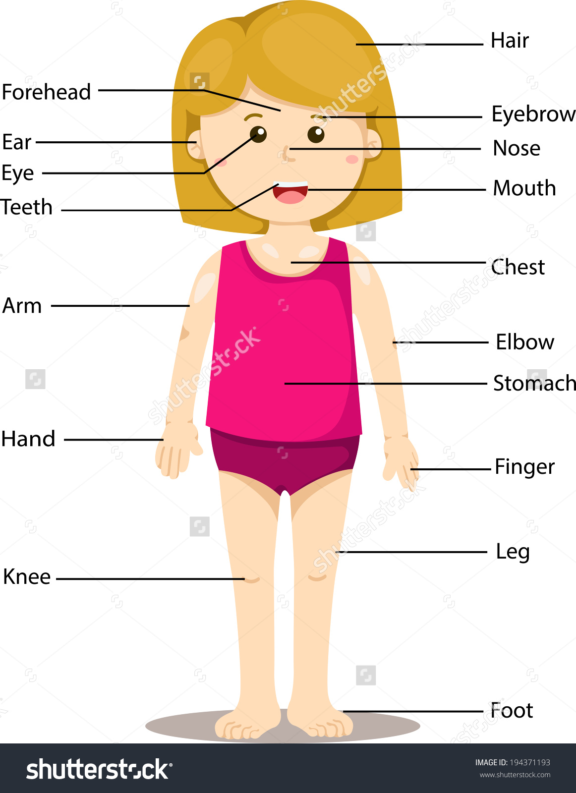 Body clipart illustration. Light clipground save to