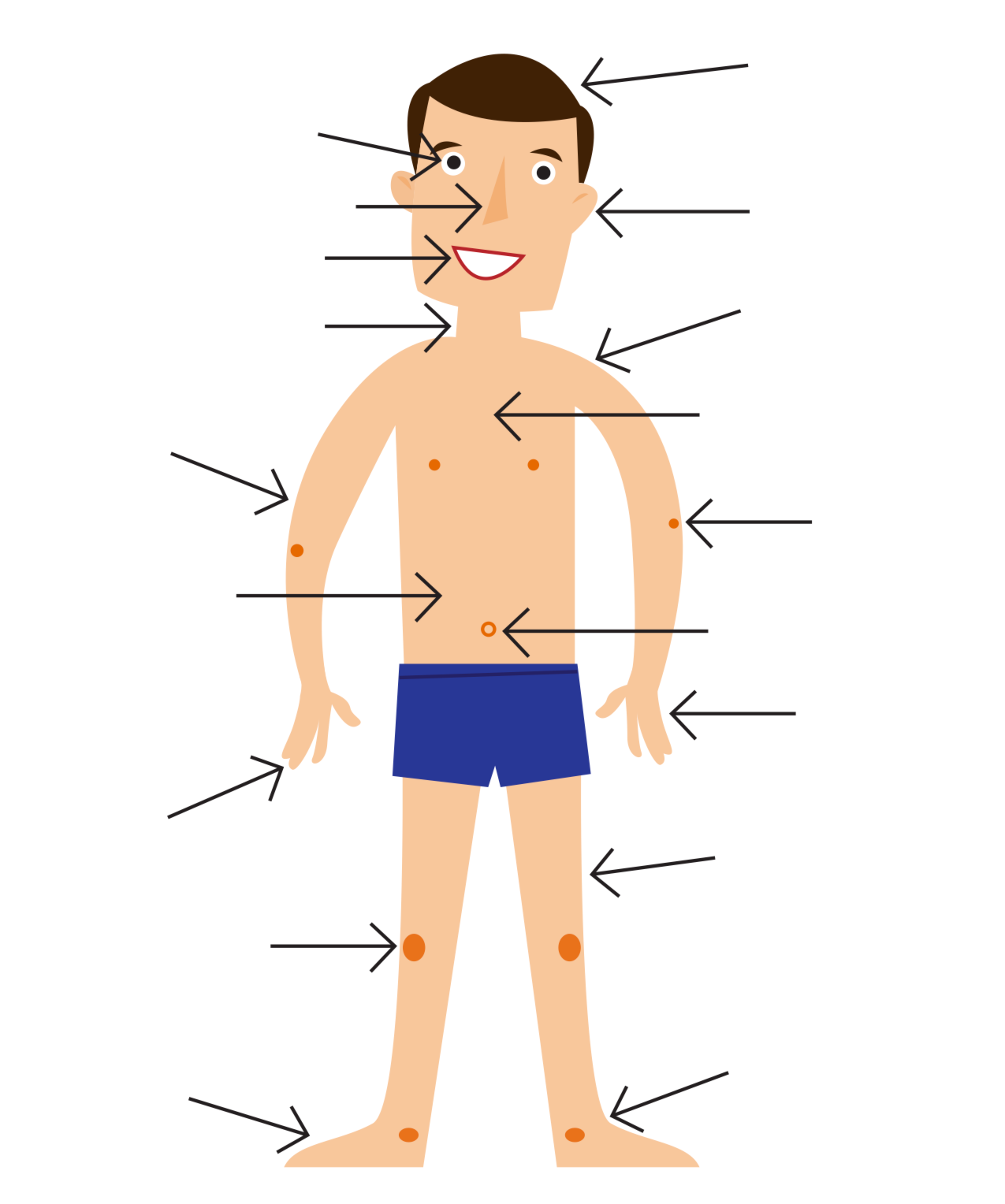 Free pictures of the. Human clipart body part