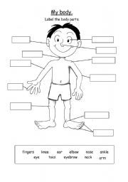 Body clipart labelling. Parts worksheet can use
