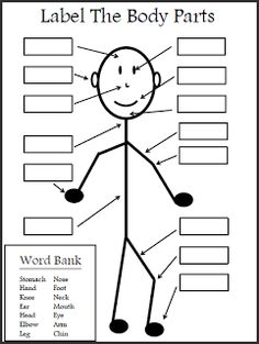 Label parts worksheet french. Body clipart labelling