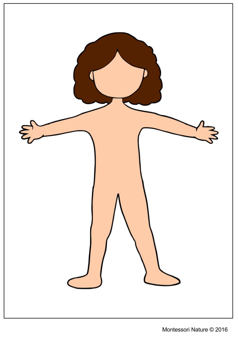 Body clipart printable. Systems of the human